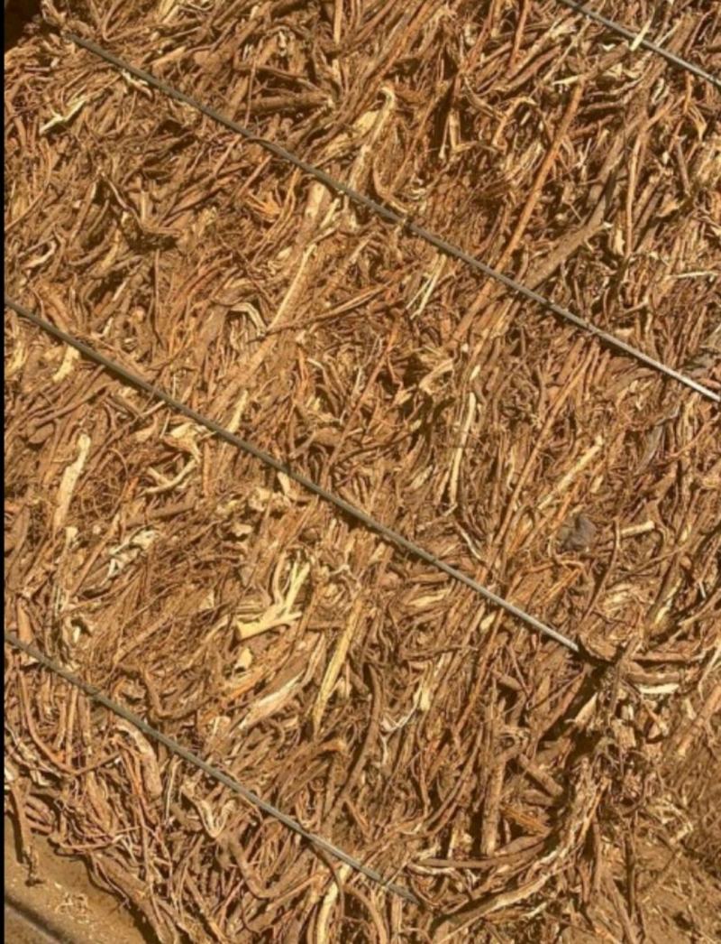 桑白皮，药厂货，符合国家药品安全无沙无泥土