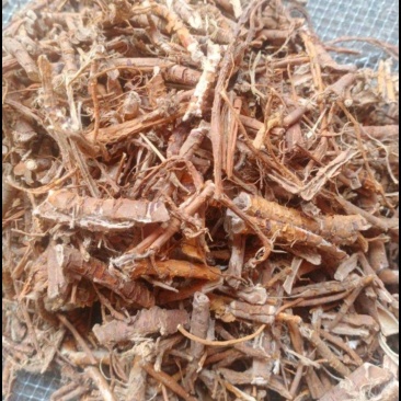 桑白皮，药厂货，符合国家药品安全无沙无泥土