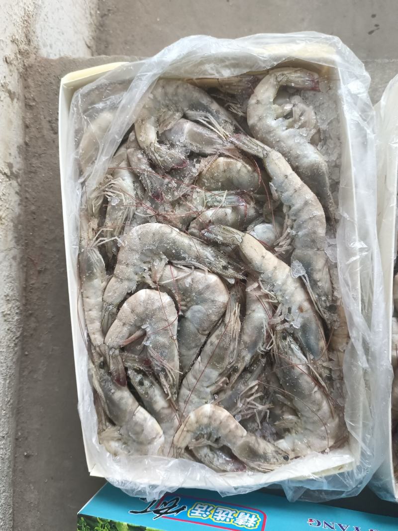 港洋盐冻，水冻虾，个头大货匀称，国产龙头企业，