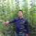 批发甜柿子树苗水果柿子苗磨盘柿子苗价格优惠