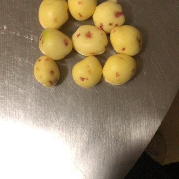 洗土豆