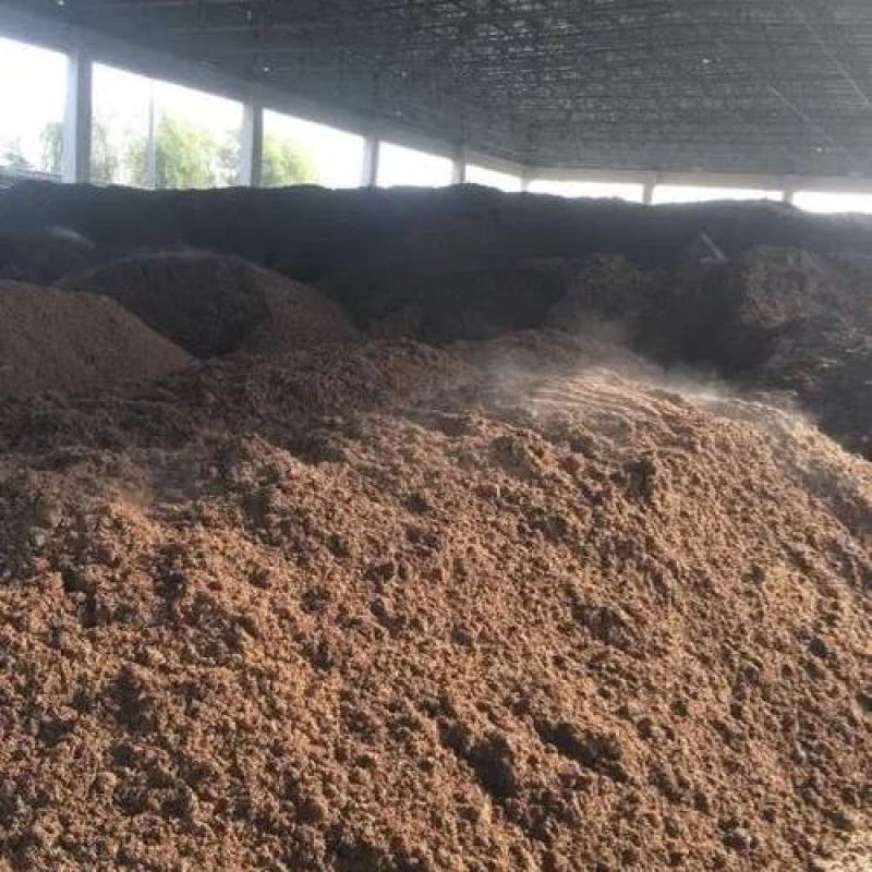 醋糟醋糟用于各种饲料添加大量供应欢迎大家选购