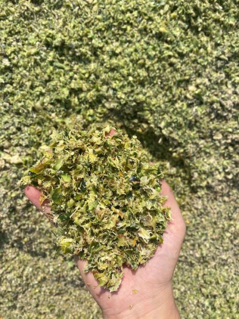 广东湛江水产饲料益生菌发酵菠萝渣粉末水分5%~8%