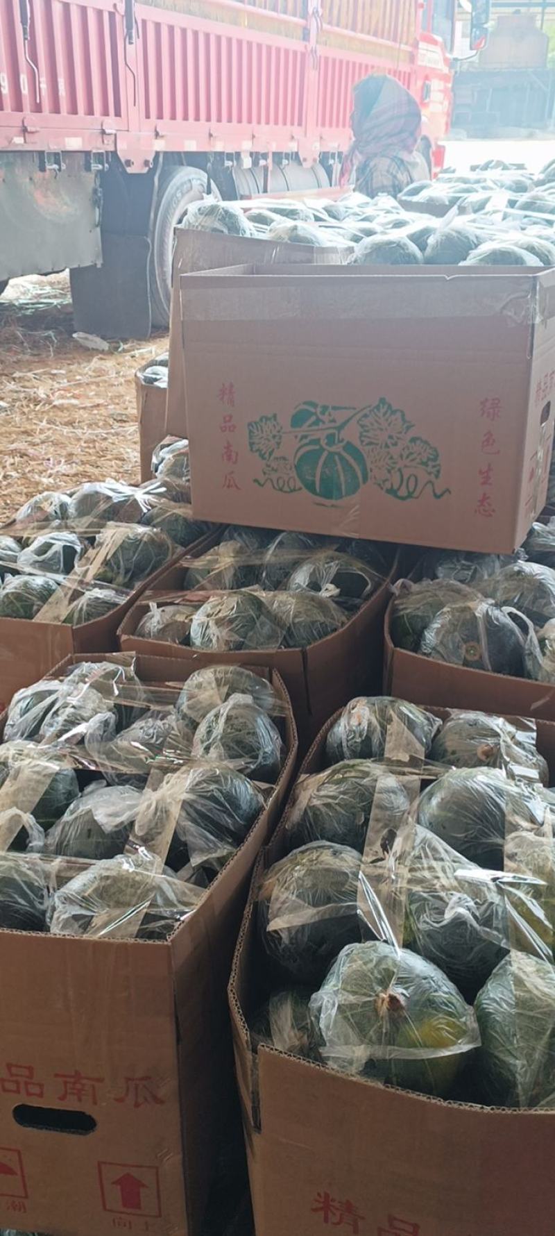 精品小南瓜大量上市，可对接电商分级，批发市场优选等