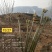 2023年新鲜蕨菜微菜产地一手货源当天下山定量包装！