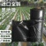 新料除草黑色地膜农用保温保湿果园种植蔬菜地防草塑料黑地膜