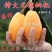 枇杷树苗正宗嫁接无核枇杷苗耐寒耐旱庭院北方南方种植当年结