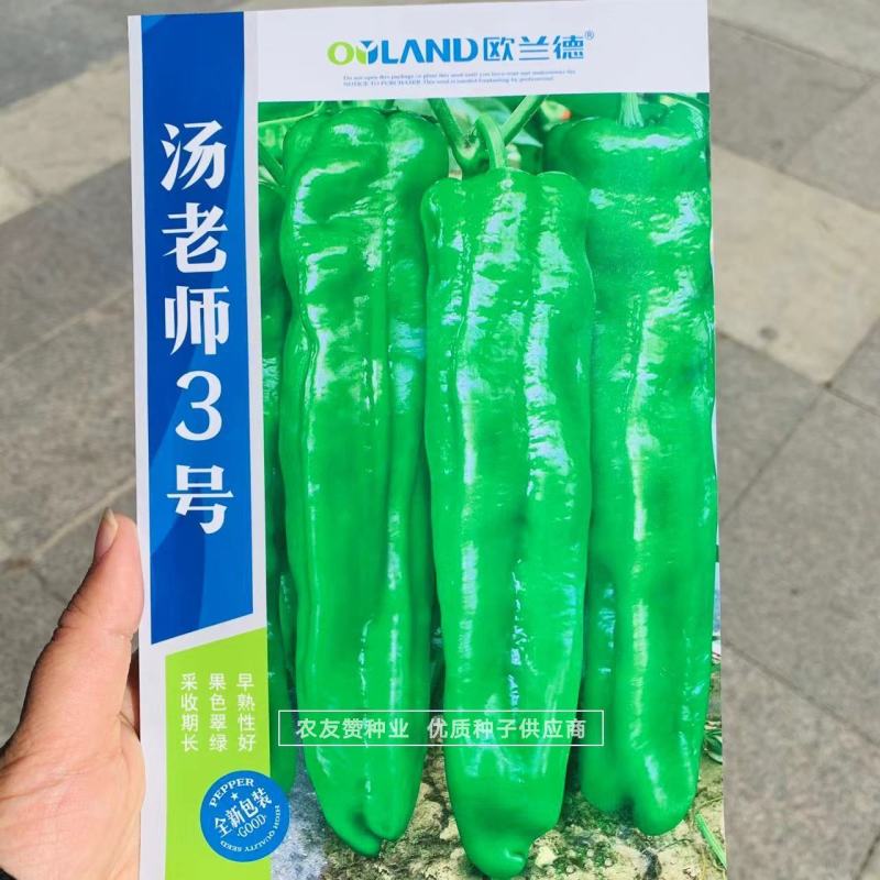 大辣椒种子特大果牛角椒种子早熟微辣果色翠绿特高产辣椒种子