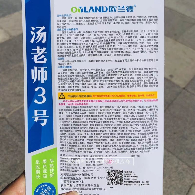 大辣椒种子特大果牛角椒种子早熟微辣果色翠绿特高产辣椒种子