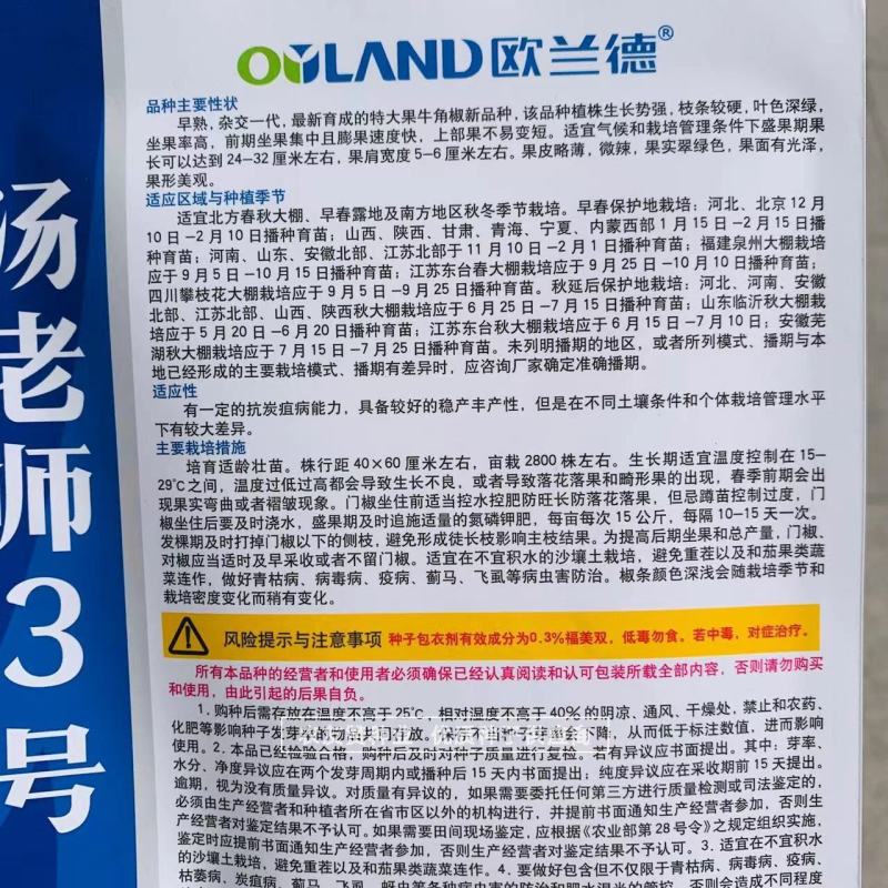 大辣椒种子特大果牛角椒种子早熟微辣果色翠绿特高产辣椒种子