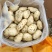 广东惠东土豆数万亩新鲜供应，