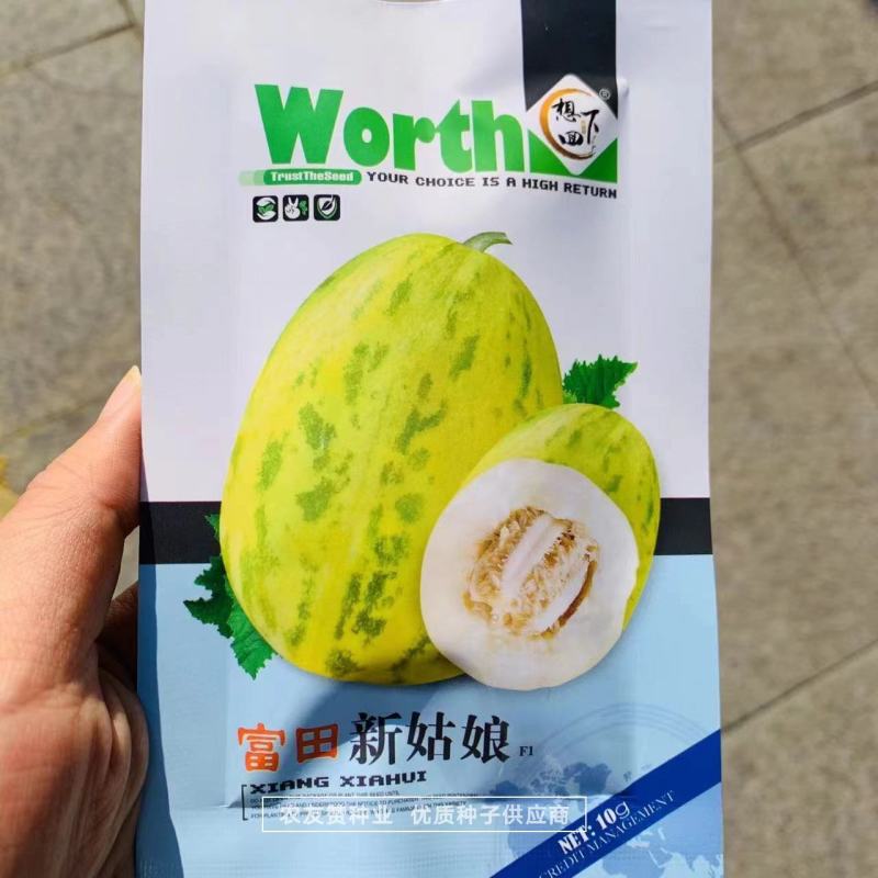 富田新姑娘甜瓜种子高糖甜瓜品种薄皮花皮甜瓜种子白肉