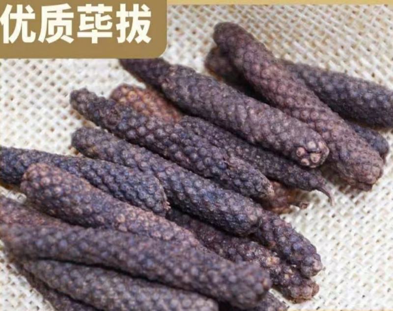 荜拔中药材荜拔厨房香料烧菜卤菜火锅调料香气浓郁