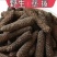 荜拔中药材荜拔厨房香料烧菜卤菜火锅调料调味增香