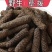 荜拔中药材荜拔厨房香料烧菜卤菜火锅调料调味增香
