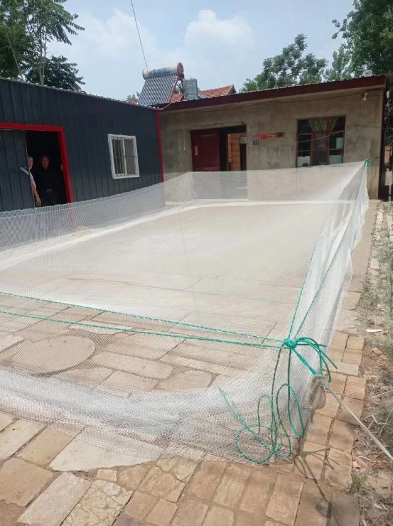 尼龙网箱育苗网箱存鱼网箱暂养网箱软线不伤鱼