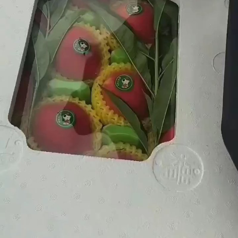 春雪桃上市欢迎老板来电话联系