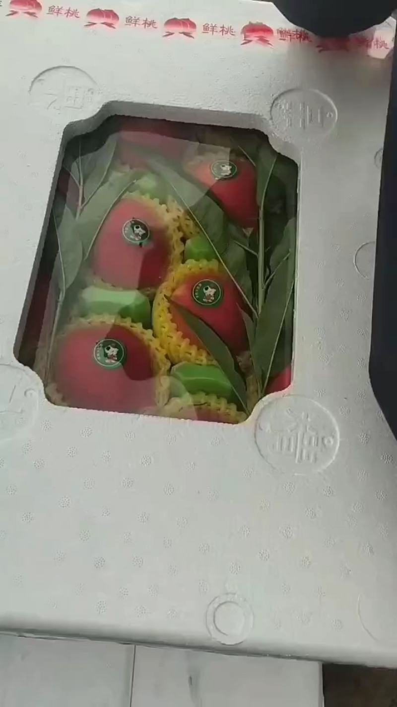春雪桃上市欢迎老板来电话联系