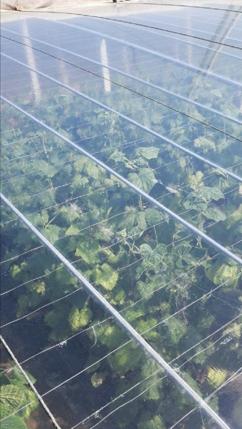五层共挤水晶po膜生产中