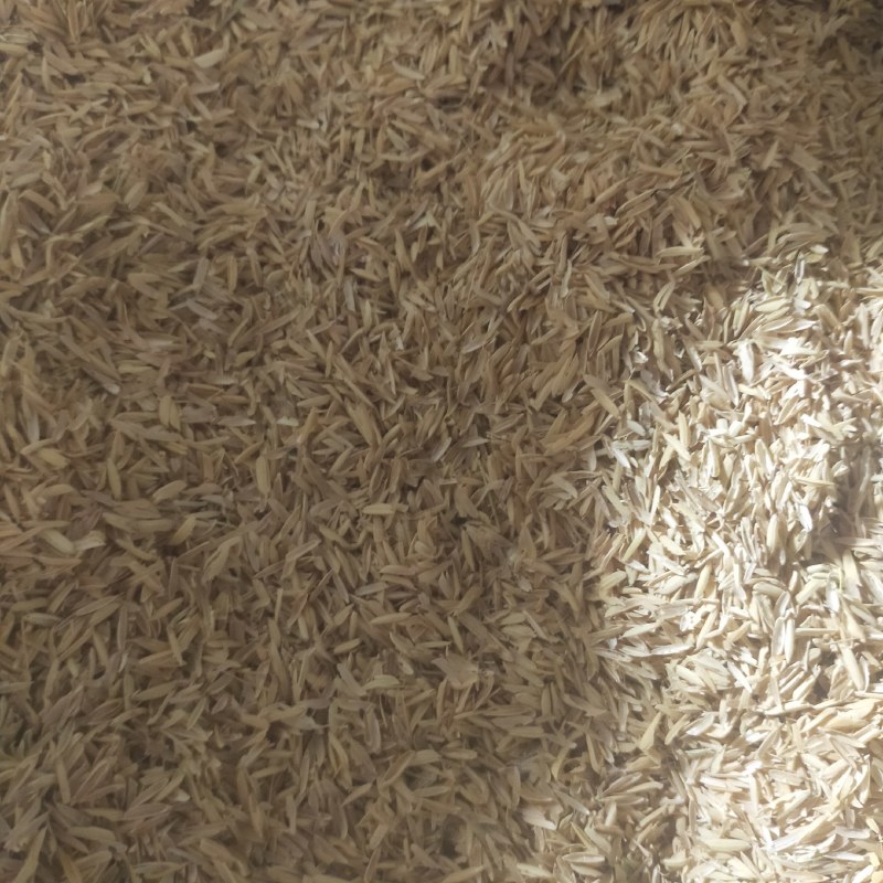 稻壳