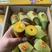 台农芒果，贵妃芒果，金煌芒果~香水菠萝