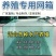育苗网箱夏花网箱鱼苗养殖网箱专业定做规格齐全
