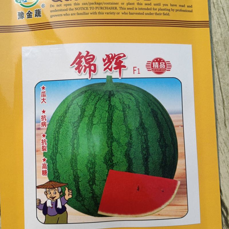 锦辉24天成熟瓤大红高品质耐重茬单瓜5公斤