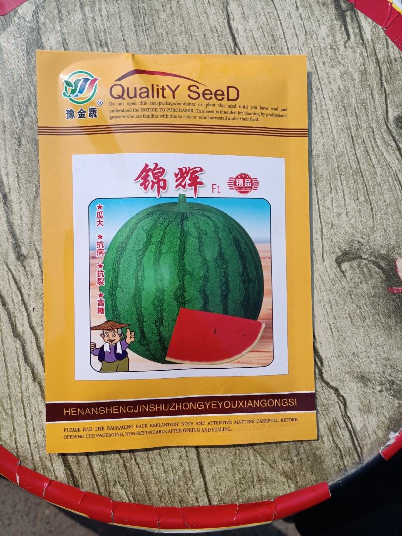 锦辉24天成熟瓤大红高品质耐重茬单瓜5公斤