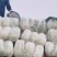 陕西渭南市大白菜，百亩贮存大白菜，现大量出售