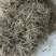 水牛角丝，丝细均匀量大从优，欢迎各位老板下单