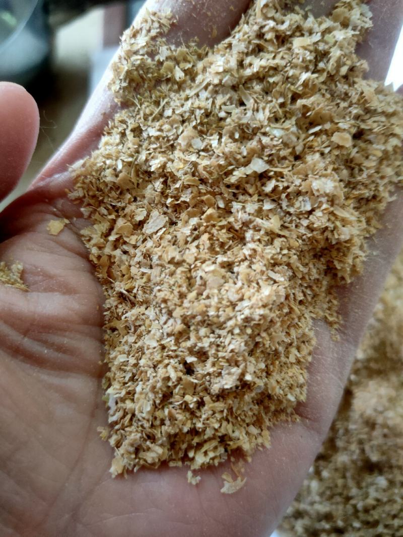 麦麸，即麦皮，小麦加工面粉副产品，饲料添加，牛羊猪好饲料