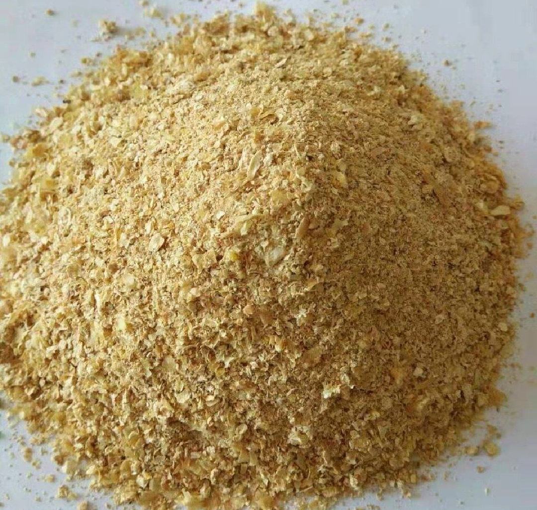 显微镜下玉米籽粒横切图,清晰显示胚芽(黄色椭圆形区域)位于籽粒基部,富含油脂与蛋白质,周围为胚乳(白色淀粉区)和种皮(外层褐色薄膜) 玉米胚芽结构示意图