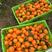 沃柑橘子货源充足大量上市产地发货长期供应