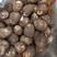 山东8520毛芋头种子，豆包，品种齐全，一手货源保质保量