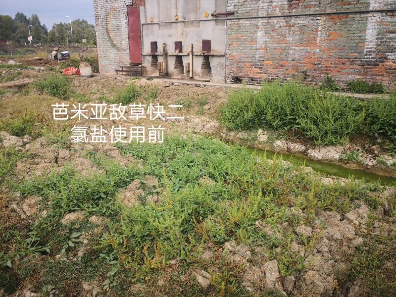 敌草快正规的厂家量大优惠欢迎咨询厂家量大优惠欢