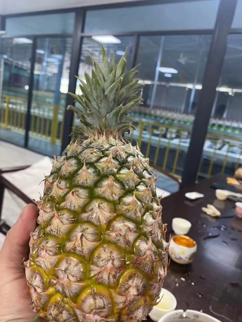 海南金砖凤梨,手撕凤梨，对接社区团购，市场批发。