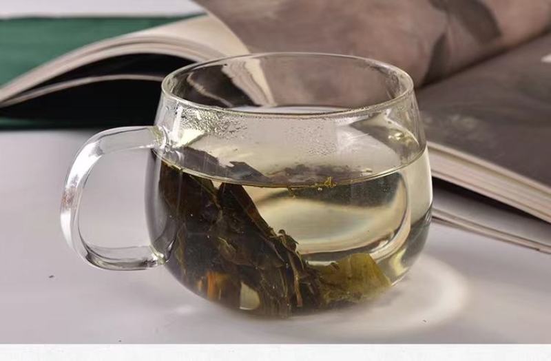 毛冬青叶茶老叶子苦丁茶毛冬青嫩芽青山绿水茶