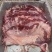护心肉连肝肉一手货源证件齐全全国发货食材供应