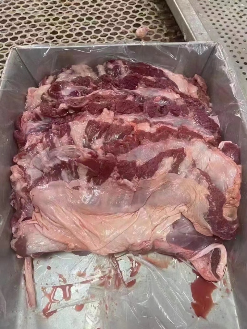 护心肉连肝肉一手货源证件齐全全国发货食材供应