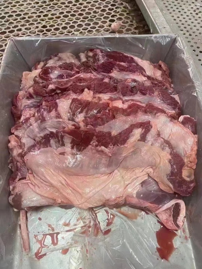 护心肉连肝肉一手货源证件齐全全国发货食材供应