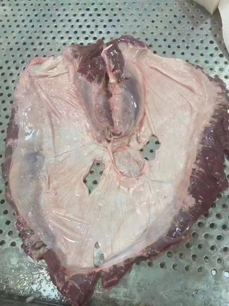 护心肉连肝肉一手货源证件齐全全国发货食材供应