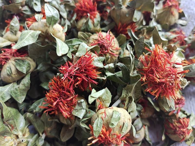 藏红花地摊展销西藏番红花藏红花散装伊朗中药材西红花批发