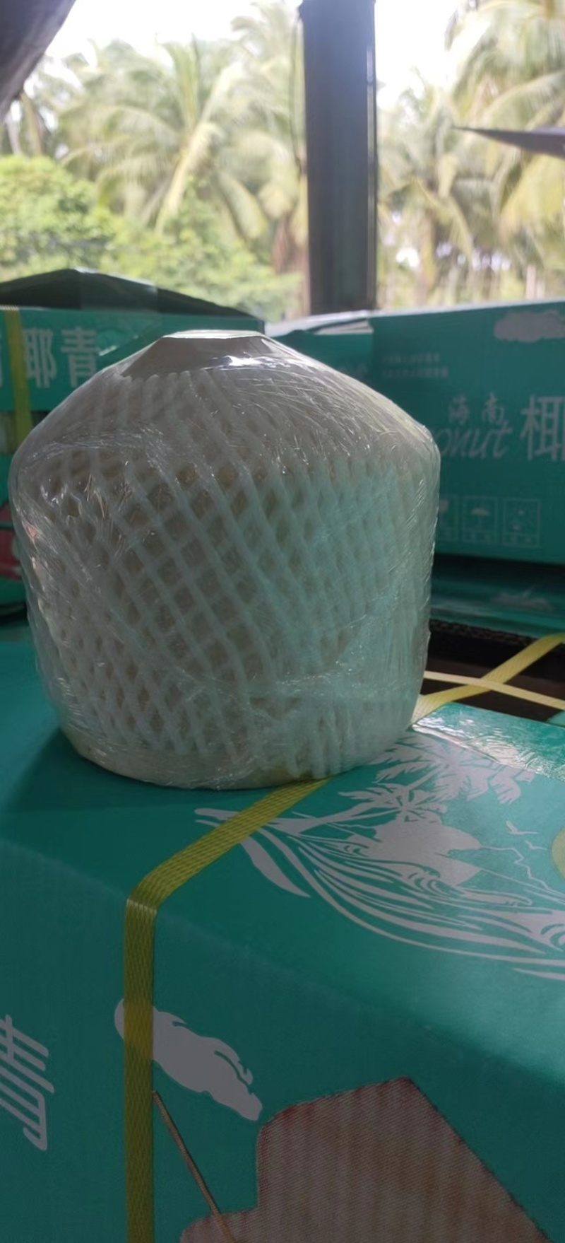 【推荐】椰子产地货源量大从优支持批发电商各种规格欢迎电话