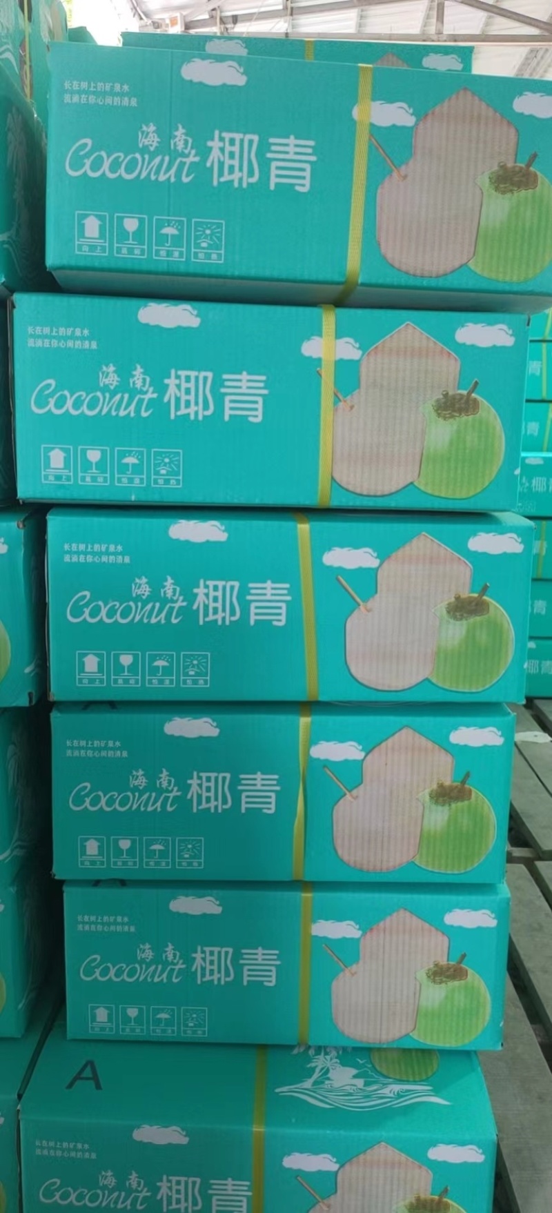 【推荐】椰子产地货源量大从优支持批发电商各种规格欢迎电话