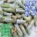 高产5号巨菌草种节牧草四季常青亩产35吨年收割4/6次