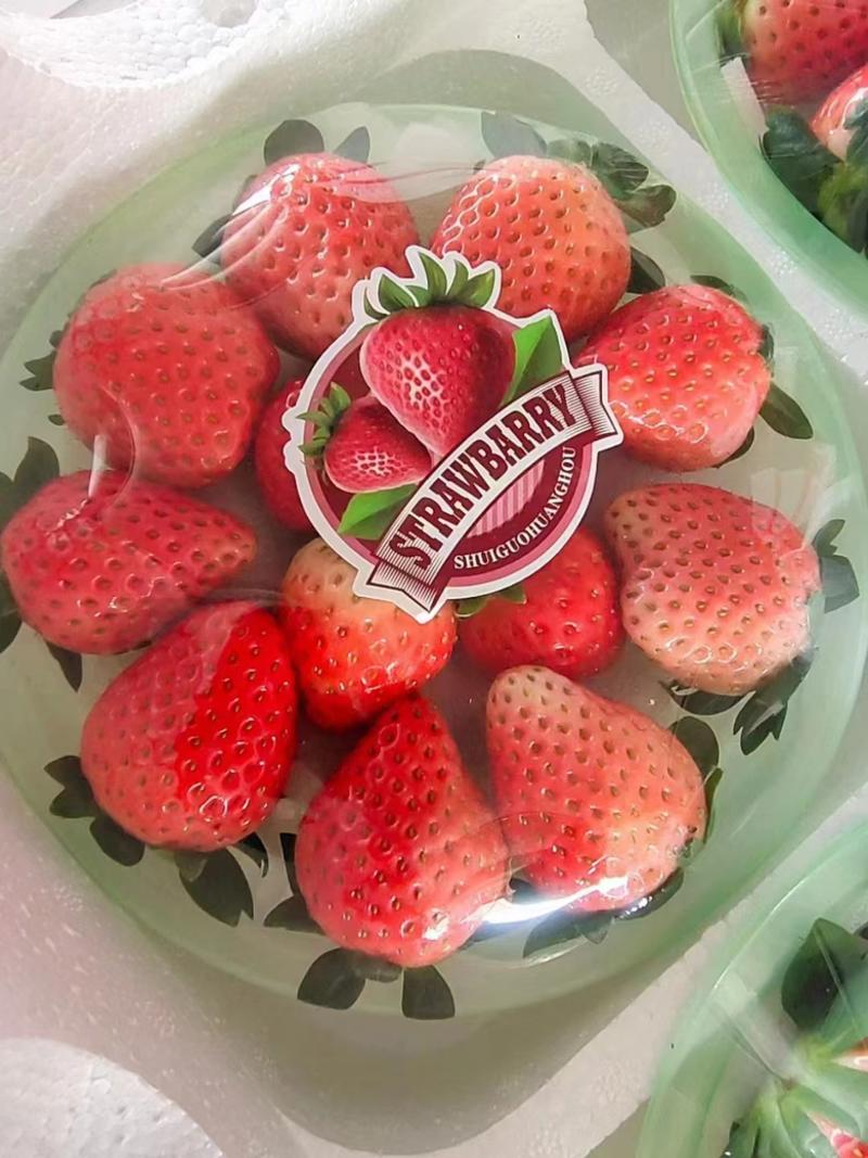 优质草莓将大量上市，现摘现发，包装齐全，全国发货！