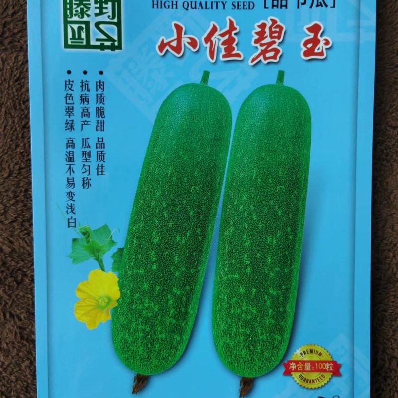 小佳碧玉节瓜杂交一代早熟耐热绿皮绿肉