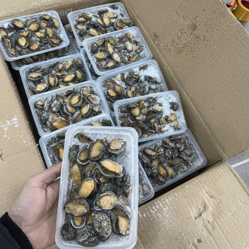 鲍鱼【海头厂家】小鲍鱼鲍鱼肉冻鲍鱼