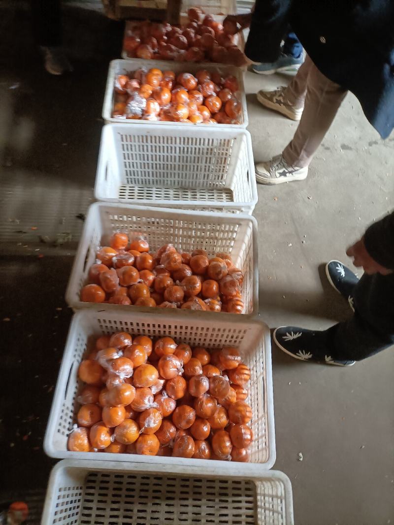 质量好，口感好，硬度好，价格便宜，服务好