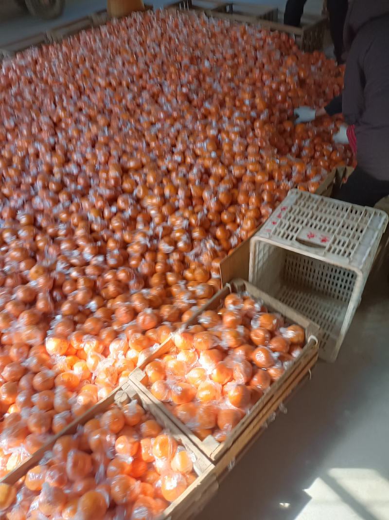 质量好，口感好，硬度好，价格便宜，服务好